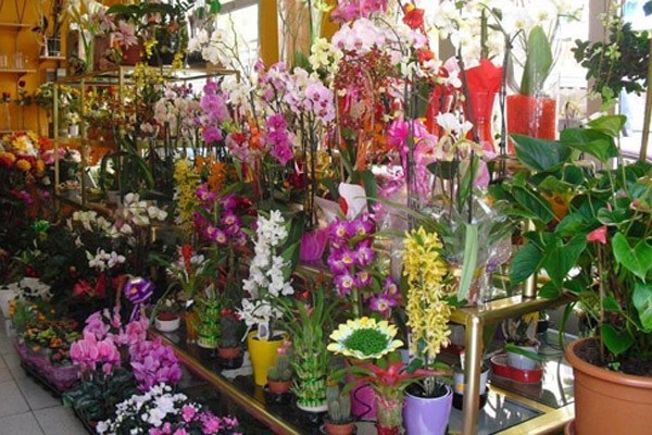 Eastwood Florists