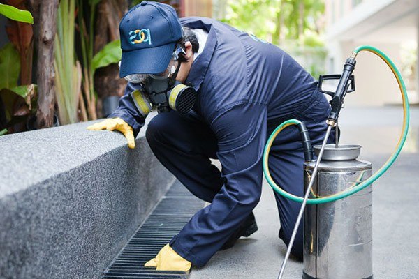 A-1 Pest Control Limited